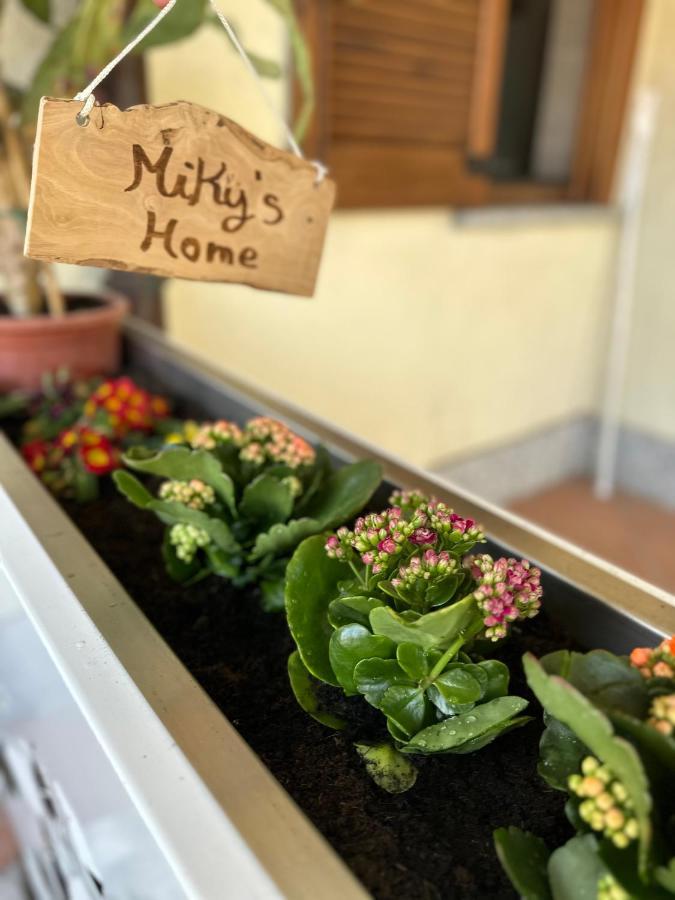Miky'S Home Leggiuno ภายนอก รูปภาพ