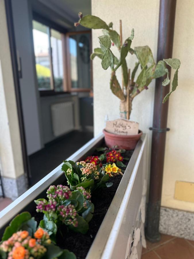 Miky'S Home Leggiuno ภายนอก รูปภาพ